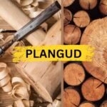 PLANGUD
