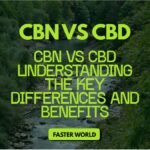 CBN vs CBD
