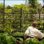 garden advice homenumental