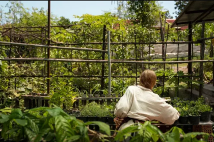garden advice homenumental