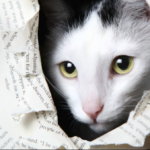 cute cat names