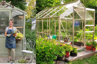 greenhouse gardening tips